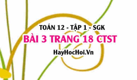 Bài 3 trang 18 Toán 12 tập 1 Chân trời sáng tạo
